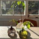 Acorn Vase