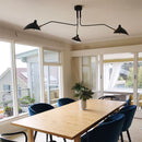 Serge Rotating Arm Ceiling light