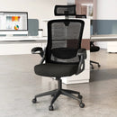 Adjustable Swivel Task Chair Ergonomic Office Chair with Adjustable Lumbar Support by LJGDeals