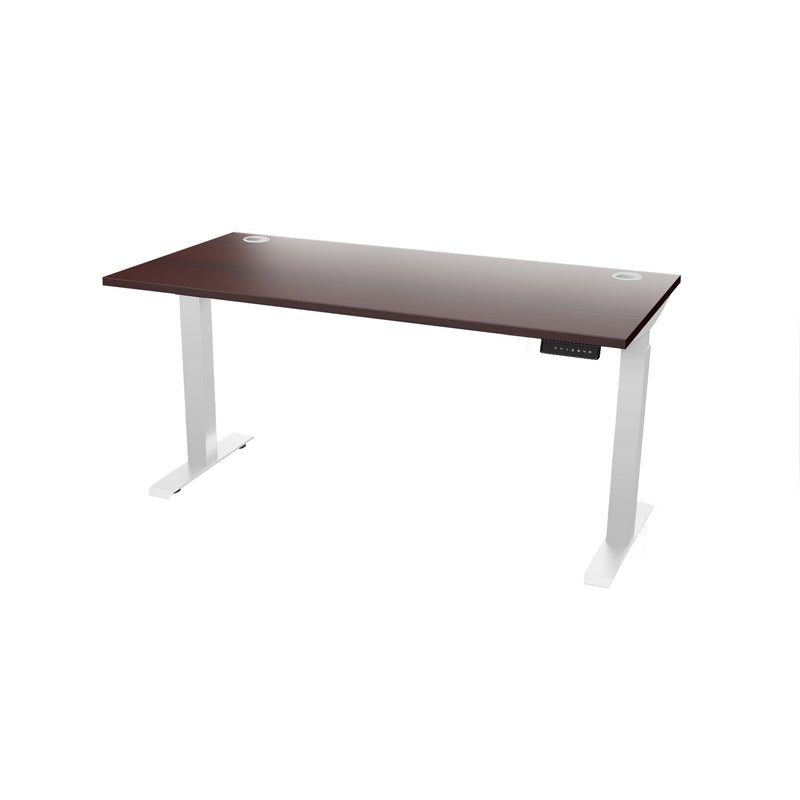 Atlas 66" Sit Stand Office Desk