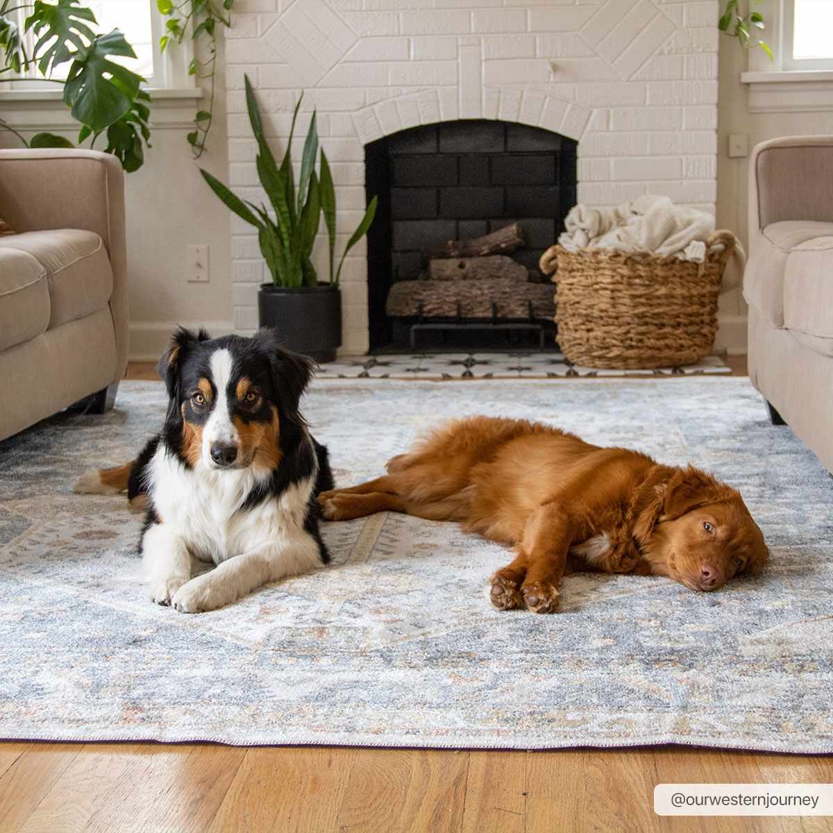 Afya Washable Area Rug, photo 3 of 21