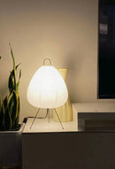 Akari Egg Shaped Paper 1A Table Lamp