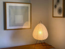 Akari Egg Shaped Paper 1A Table Lamp