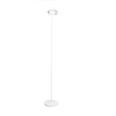 Ambient Floor Lamp