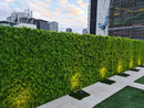 Lush Fern Artificial Vertical Garden Green Wall Panel 40×40in 11 SQ FT – UV Resistant – Commercial Grade
