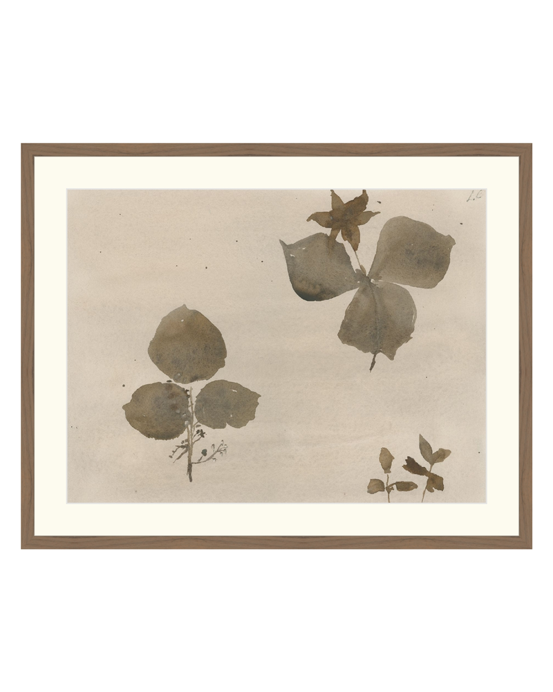 Botanical Thoughts I