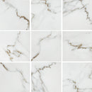 Aquatica Calacatta Porcelain Tile 6"x6" - Massa Calacatta II Collection