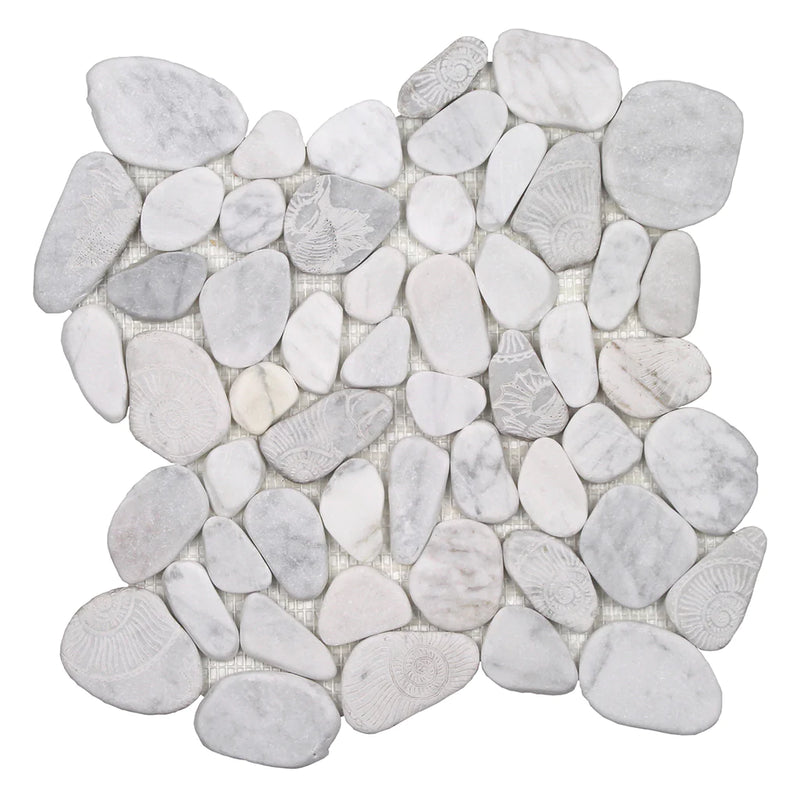 Aquatica Fossil Carrara Sliced Pebble Mosaic 12"x12" - Ocean Stones Sliced Collection