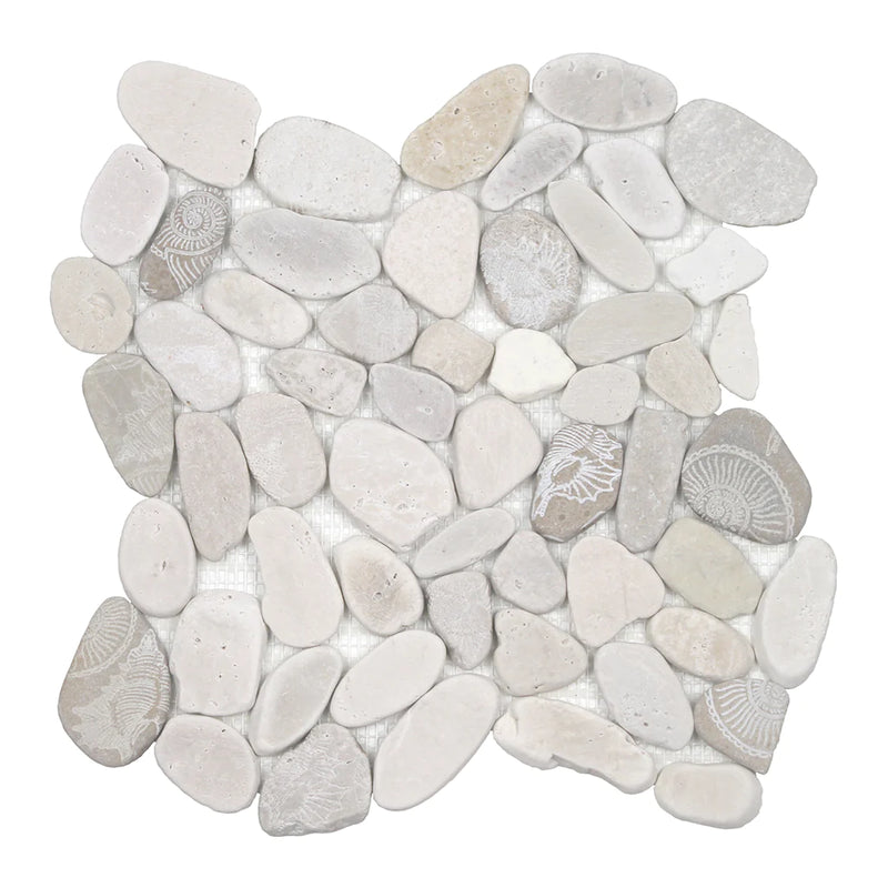 Aquatica Fossil Light Sliced Pebble Mosaic 12"x12" - Ocean Stones Sliced Collection