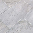 MSI Arabescato Carrara Marble Wall and Floor Tile
