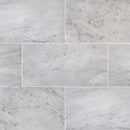 MSI Arabescato Carrara Marble Wall and Floor Tile