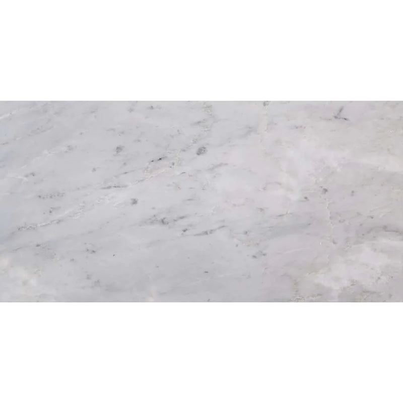 MSI Arabescato Carrara Marble Wall and Floor Tile