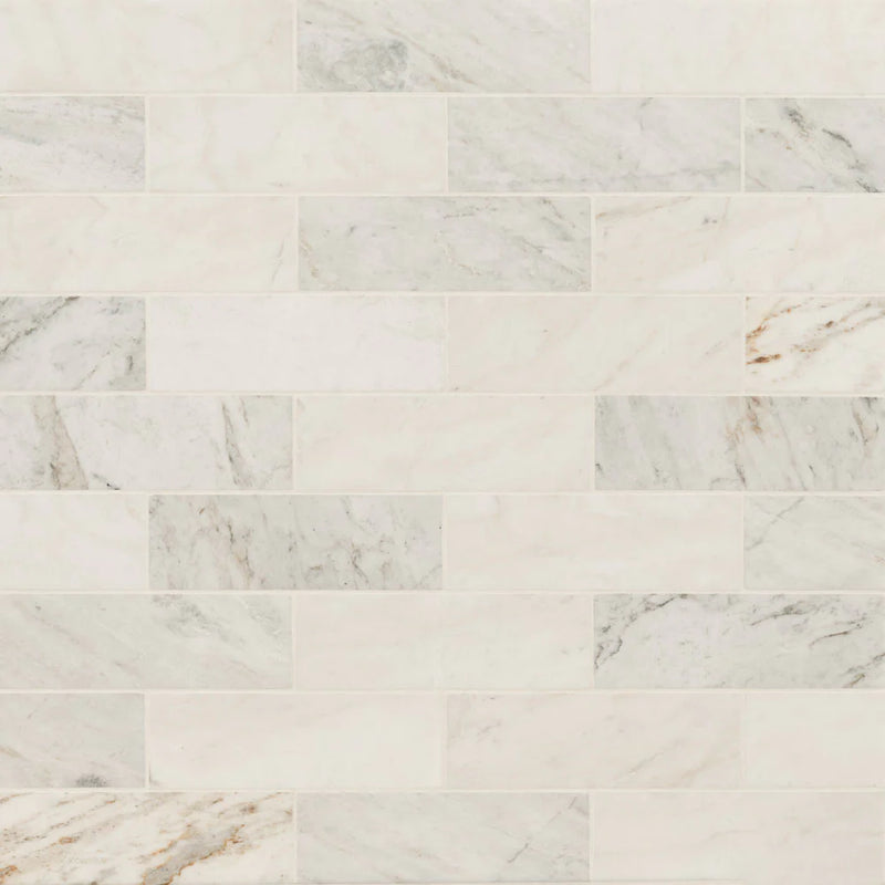 MSI Arabescato Venato White Marble Honed Wall and Floor Tile 4"x12"