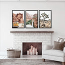 3 Piece Arizona Travel Wall Art. Joshua Tree, Bus, Waterfall by Wall Art Set