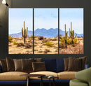 Arizona Dessert Cactus Wall Art Canvas Print