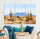 Arizona Dessert Cactus Wall Art Canvas Print