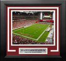 Arizona Cardinals State Farm Stadium Corner of the End Zone 8" x 10" Framed Football Photo by Dynasty Sports & Framing