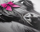 Cute Highland Cow wearing a Bow, Pink Bow on a Cute Cow, framed canvas print, black and white farmhouse cow art