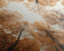 Forest Art, Trees Wall Art, Fall Art Print, Panoramic Art, Wall Art, Canvas Art, Landscape Art, Wall Art Prints, Entryway Prints, RV Decor