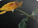 Realist Painting Print of a Yellow Rose, Framed Canvas, Wood Framed Art, Modern Farmhouse Decor, Rose Painting, Rose Art