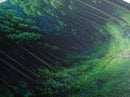 Large Framed Vintage Style Landscape Painting Print | Fantasy Wall Art | Fantasy Painting | Forest Painting | Landscape Wall Art