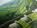 Scottish Highlands Canvas Print | Scottish Farmhouse Wall Art | Painting of Sheep in Scotland | Scotland Landscape Oil Painting