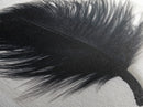 Abstract Black Feather Painting Print, Tall Skinny Art, Retro Home Decor, Abstract Art, Narrow Tall Wall Art, Feather Art, Farmhouse Art