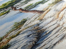 Rocky Mountain Pine Tree Painting - Framed Canvas Print Highlighting Serene Alpine Path for Rustic Wall Decor