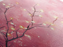 Light Pink Cherry Blossom Canvas Print | Cherry Blossom Painting | Sakura Wall Art | Nature Inspired Art | Bedroom Above Bed Decor