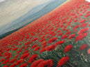 Scenic Poppy Field Framed Canvas Print, Rustic Landscape Painting, Bedroom Art, Farmhouse Wall Decor, Extra Wide Rustic Art