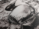 Loon and Birch, Woodland Wildlife Art, Black and White Bird Print, Canvas Print, Rustic Cabin Decor, Nature Inspired Wall Art
