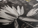 Lotus Flower, Black and White Botanical Art, Zen Wall Decor, Nature Painting, Minimalist Canvas Print, Bedroom Meditation Art