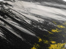 Sunbeam Forest Art, Black and White Painting, Abstract Landscape, Rustic Home Decor, Mystical Woods Artwork, Living Room Wall Art, Canvas Print
