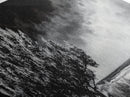 Monochrome Tree Art, Dramatic Nature Painting, Black and White Wall Decor, Minimalist Forest Print, Modern Office Art, Framed Canvas Print