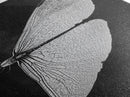 Dragonfly Wings Macro, Nature Insect Print, Detailed Bug Art, Minimalist Scientific Wall Decor, Framed Canvas Print, Study Room Art