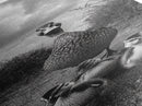 Duck Family, Wildlife Photography, Baby Ducks, Country Style, Canvas Print, Farmhouse Wall Art, Fall Animal Decor, Kids Room Art