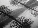 Twin Pines, Forest Reflection, Misty Lake, Black and White Nature, Framed Canvas Print, Living Room Wall Art, Nature Photography, Zen Decor