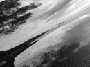 Reflections, Tranquil Shore, Tree Silhouette, Canvas Print, Zen Minimalist Decor, Beach Meditation Space or Spa Wall Art, Minimalist Decor