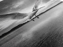 Soaring Bird, Ocean Wings, Nature Flight, Sky Spirit, Canvas Print, Coastal Wall Art, Beach House Decor, Modern Bird Photography
