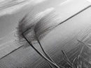 Lakeside Grasses, Windy Waterscape Print, Minimal Nature Art, Calm Landscape Decor, Bathroom or Office Wall Art, Canvas Print