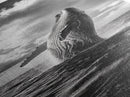 Breaching Whale Art, Ocean Wildlife Print, Marine Life Photography, Dramatic Sea Scene, Coastal Living Room Decor, Canvas Print