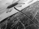 Single Daisy Bloom, Minimalist Botanical, Black White Flower, Framed Canvas Print, Nature Inspired Art, Bedroom Wall Decor, Modern Farmhouse