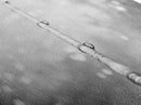 Fishing Pole, Water Focus, Tranquil Reflections, Minimalist Angler Art, Canvas Print, Cabin Wall Art, Lakehouse Decor