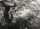 Twisted Forest Canopy, Ancient Trees, Mystical Woodland, Canvas Print, Boho Living Room Art, Black and White Nature Print, Cabin Decor
