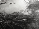 Stormy Shore, Erosion Roots, Driftwood Beach, Nature Drama, Framed Canvas Print, Moody Wall Art, Fall Living Room Decor, Dark Rustic Style