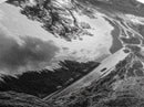 Coastal Tree Roots, Ancient Forest Shore, Pacific Northwest Nature, Moody Black and White Canvas Print, Cabin Wall Art, Woodland Style
