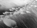 Cotton Grass Field, Stormy Sky Art, Botanical Monochrome, Minimalist Nature Print, Framed Canvas Print, Bedroom Wall Art, Nordic Style