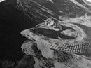 Jungle Snake Scene, Reptile Animal Art, Bold Black and White, Framed Canvas Print, Wildlife Decor, Man Cave or Study Wall Art