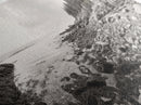 Rocky Coast, Forest Edge, Tranquil Shoreline, Earthy Landscape Scene, Canvas Print, Neutral Home Decor, Rustic Cabin Wall Art