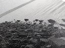 Shoreline Rocks, Quiet Water, Still Landscape, Coastal Photography, Canvas Print, Minimalist Office Art, Calm Nature Scene